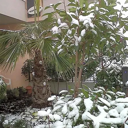 Nobel Rimini